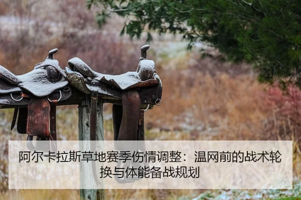 阿尔卡拉斯草地赛季伤情调整：温网前的战术轮换与体能备战规划
