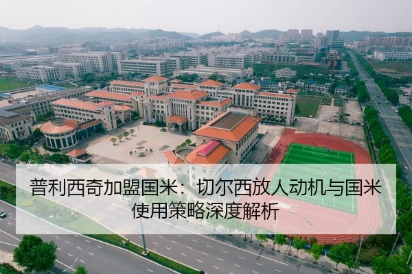 普利西奇加盟国米：切尔西放人动机与国米使用策略深度解析